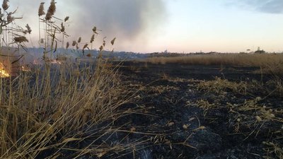 За добу на Миколаївщині сталося шість пожеж