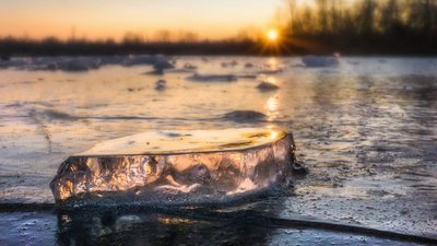 "Це мої діти, і всіх люблю". Прикарпатський фотомитець розповів про те, як прийшов до фотографії "Це мої діти, і всіх люблю". Прикарпатський фотомитець розповів про те, як прийшов до фотографії