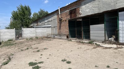Волонтери розширюють притулок для тварин
