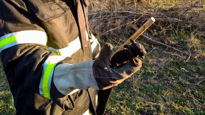 У Смоліному Кіровоградської області у вогні загинули дикі тварини