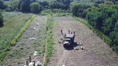 На Черкащині виявили масштабну плантацію коноплі