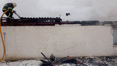 На Житомирщині у пожежі згоріли троє дітей На Житомирщині у пожежі згоріли троє дітей