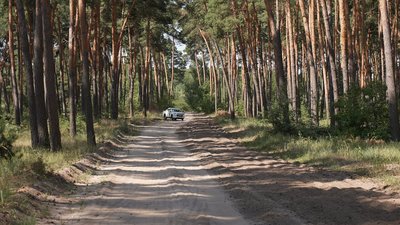 У лісах Кіровоградщини побільшало безплатних місць відпочинку. Хто і як їх створює У лісах Кіровоградщини побільшало безплатних місць відпочинку. Хто і як їх створює