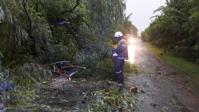 На Черкащині через негоду впало понад пів сотні дерев На Черкащині через негоду впало понад пів сотні дерев