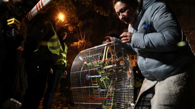 Розмінування на Херсонщині