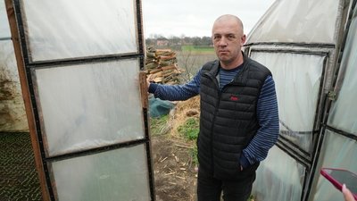 Як висадити помідори, як висадити перець, порадияк висадити розсаду