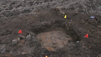 Розкопки в Боремлі