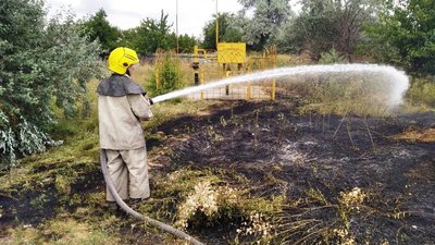 На Херсонщині загасили 27 пожеж: горіли сухостій та пожнивні залишки