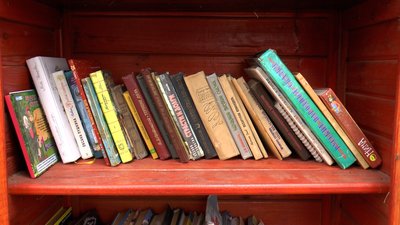 Книжки передала письменниця Ірен Роздобудько. У Святогірську працює вулична бібліотека Книжки передала письменниця Ірен Роздобудько. У Святогірську працює вулична бібліотека