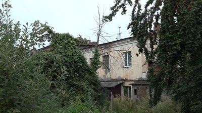 На прибудинкових територіях у Житомирі до кінця року зріжуть 416 дерев На прибудинкових територіях у Житомирі до кінця року зріжуть 416 дерев