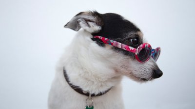 На Черкащині зафіксували погодний рекорд двох століть