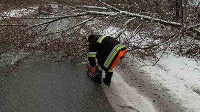 Наслідки негоди на Житомирщині: рятувальники прибрали дев’ять аварійних дерев та відкачали 400 кубометрів води