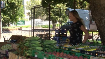 Сезон кавунів у Черкасах Сезон кавунів у Черкасах