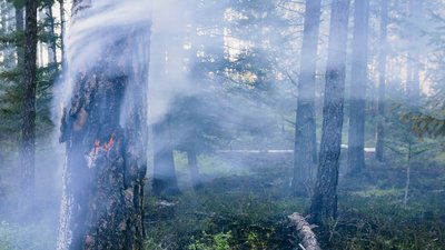 Вибухи у Чернігові: наслідки атаки РФ зафіксували в парку «Ялівщина»