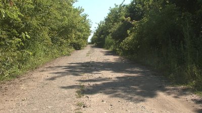 В селі Антонівка колись було 70 дворів, де жили люди. Сьогодні майже усі вони заросли чагарниками та хащами. Фото: Суспільне. В селі Антонівка колись було 70 дворів, де жили люди. Сьогодні майже усі вони заросли чагарниками та хащами. Фото: Суспільне.
