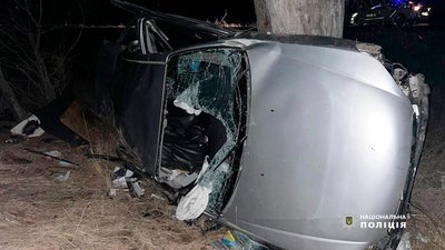 Автівка з'їхала в кювет та зіткнулася в дерево: в ДТП біля Ніжина травмувалися двоє людей