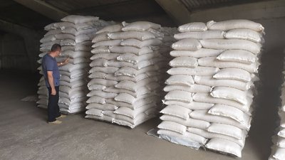 У Кропивницькому районі вирощують зернові для п'яти областей України