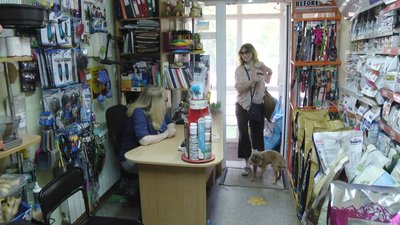 Житомиряни долучилися до всеукраїнської акції і взяли собаку на роботу Житомиряни долучилися до всеукраїнської акції і взяли собаку на роботу