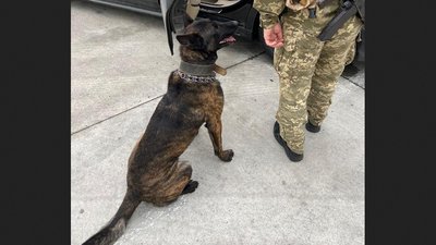 "Сувенір на згадку": вінницькі прикордонники знайшли в автівці іноземця предмет, схожий на гранату "Сувенір на згадку": вінницькі прикордонники знайшли в автівці іноземця предмет, схожий на гранату