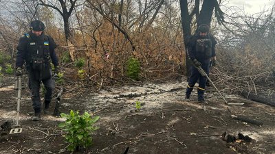 Розмінування територій, волинські сапери, ДСНС Волині