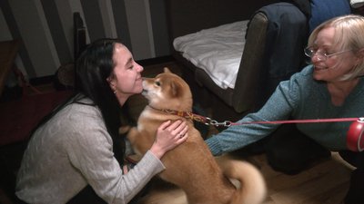 В Івано-Франківську бар переобладнали під прихисток для переселенців