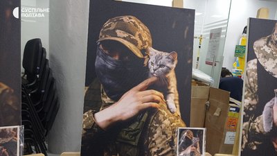 «Військотики»: у Полтаві створили листівки зі світлинами воїнів та котів «Військотики»: у Полтаві створили листівки зі світлинами воїнів та котів