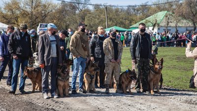 У Кропивницькому проходить всеукраїнська виставка собак У Кропивницькому проходить всеукраїнська виставка собак
