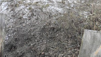 170 снарядів, мін та ракет: росіяни 2 грудня масовано атакували прикордоння Чернігівщини 170 снарядів, мін та ракет: росіяни 2 грудня масовано атакували прикордоння Чернігівщини
