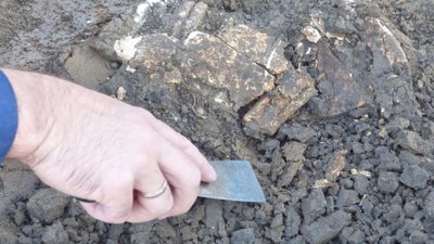 Амфора - знахідка археологів, фото заповідник "Більськ" Амфора - знахідка археологів, фото заповідник "Більськ"