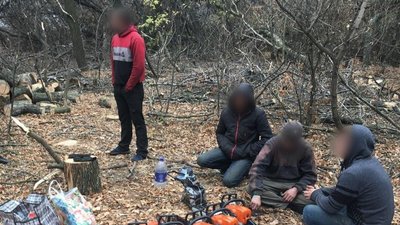 Незоконна вирубка лісу у Покровській громаді
