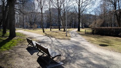 У столиці Естонії створять площу України — показуємо, де саме