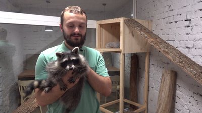 кафе єнот кафе єнот