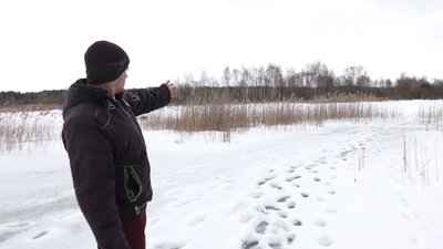Знайшли птахів на замерзлому озері: жителі Городні врятували пару лебедів Знайшли птахів на замерзлому озері: жителі Городні врятували пару лебедів