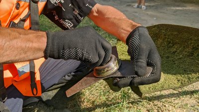 Мотокосами та лопатами: у Миколаєві борються з рослинами, які викликають алергічні реакції Мотокосами та лопатами: у Миколаєві борються з рослинами, які викликають алергічні реакції