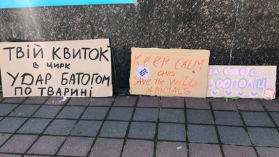 "Захистити тих, хто не може захистити себе". В Івано-Франківську пройшов марш за тварин "Захистити тих, хто не може захистити себе". В Івано-Франківську пройшов марш за тварин
