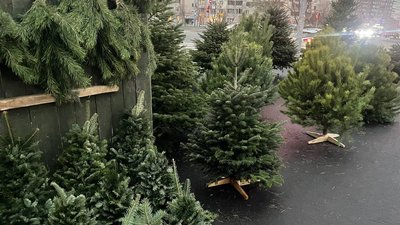 Ялинкові ярмарки у Києві, 4 грудня 2025 року