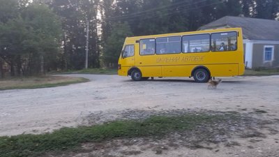 15 кілометрів у масках: як школярі дістаються до сільської школи на Хмельниччині