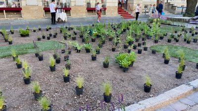 У Львові запрацював фермерський ярмарок