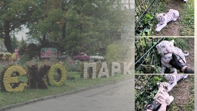 тигри в екопарку