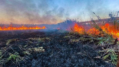 На Одещині кілька днів буде надзвичайний рівень пожежної небезпеки