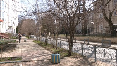 100 тис. грн з бюджету громади — на саджанці. У Франківську готуються до загальноміської толоки 100 тис. грн з бюджету громади — на саджанці. У Франківську готуються до загальноміської толоки
