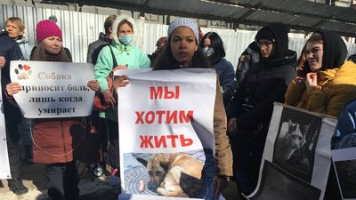 В Одесі мітингували проти бездіяльності поліції у справах жорстокого поводження з тваринами