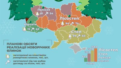 Підготовка до Нового року: скільки ялинок заготовлять в Україні