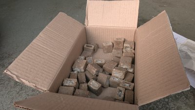 Вакцина від сказу: на Рівненщині планують почати кампанію з імунізації диких тварин Вакцина від сказу: на Рівненщині планують почати кампанію з імунізації диких тварин