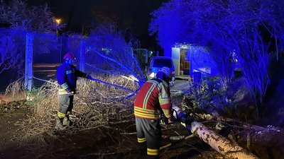 Повалені дерева, знеструмлені населені пункти: наслідки негоди, яка сталася 27 березня на Закарпатті Повалені дерева, знеструмлені населені пункти: наслідки негоди, яка сталася 27 березня на Закарпатті