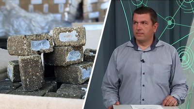 Уп’ятеро нижча захворюваність: як диких тварин вакцинують від сказу на Харківщині