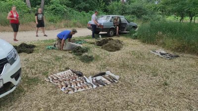 На Черкащині за місяць зафіксували понад 150 порушень вилову риби На Черкащині за місяць зафіксували понад 150 порушень вилову риби