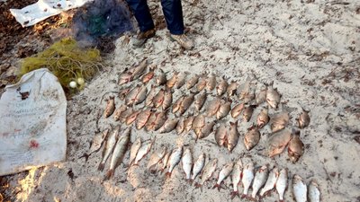 На Кременчуцькому водосховищі упіймали браконьєрів На Кременчуцькому водосховищі упіймали браконьєрів