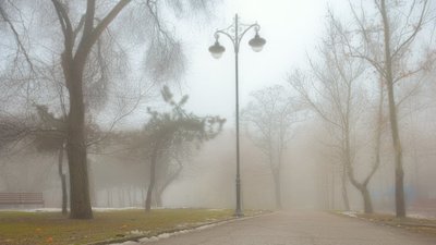 Туман на Миколаївщині. Синоптики фіксують погіршення погодних умов