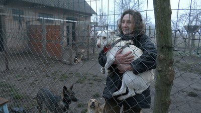 Порятунок тварин, евакуація тварин з прифронтових територій